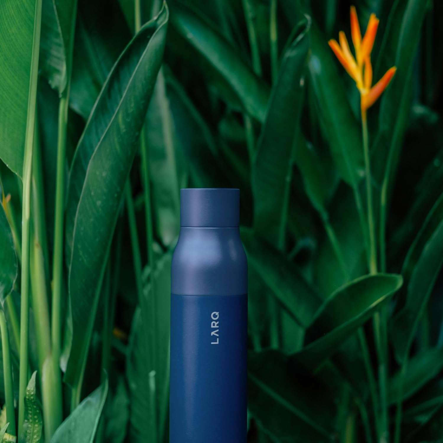 LARQ PureVis 25oz Self-Cleaning Water Bottle – Insulated Stainless Steel with UV Purifier, Monaco Blue - Quality Prime Hub